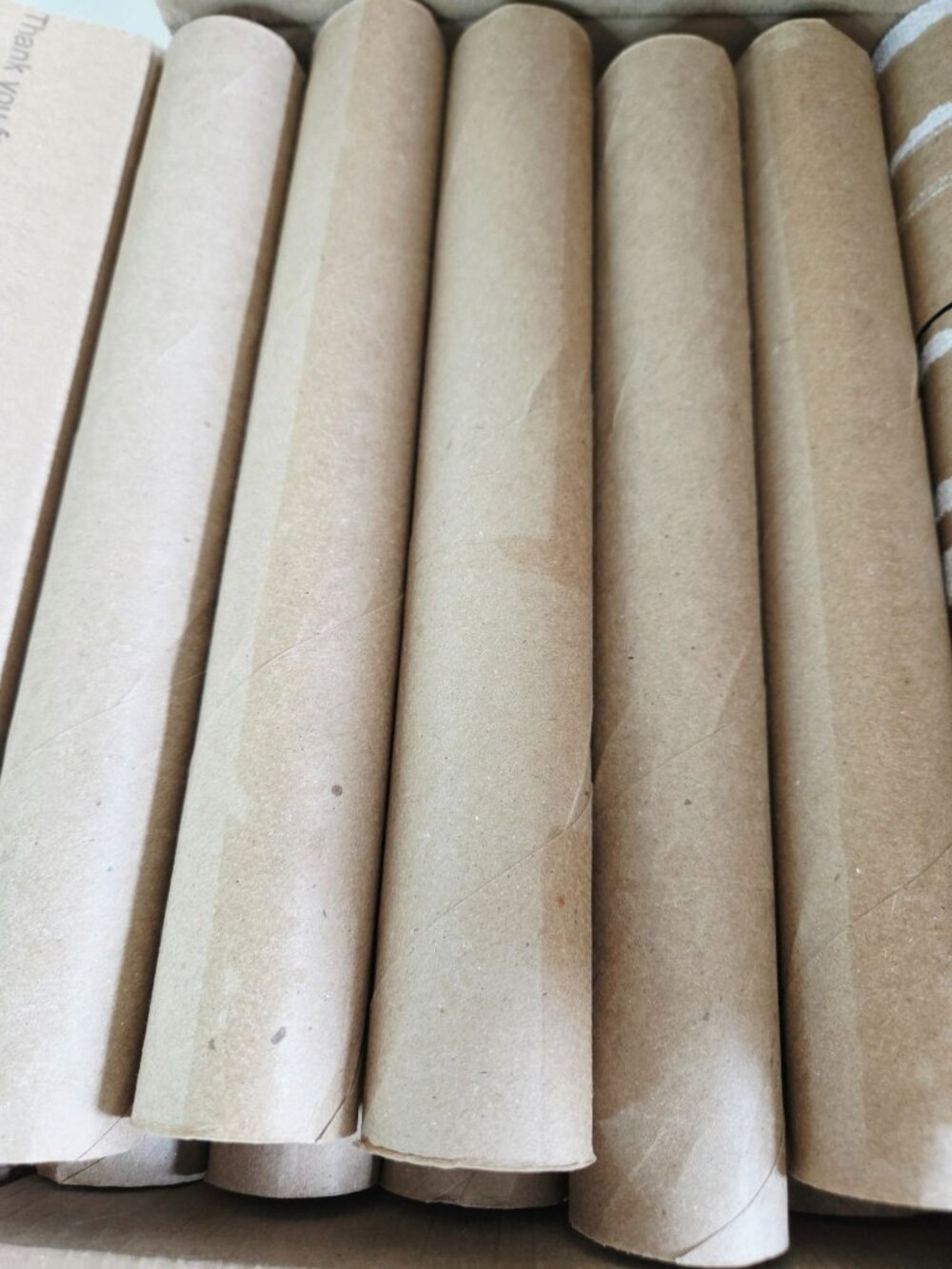 Empty Paper Towel Rolls Tubes Cores Projects Arts & Crafts School Church (42)
